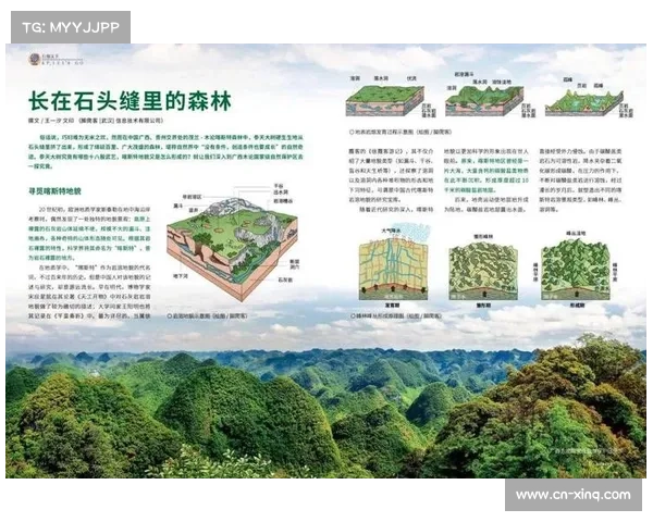 喀斯特岩壁科研项目启动探索地质特性与线路设计协同发展新模式 喀斯特岩壁科研项目启动探索地质特性与线路设计协同发展新模式