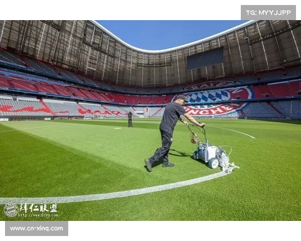 安联球场草皮加热系统应对积雪显效