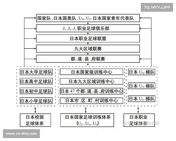 足球产业链条分析,从青训到职业经济效应评估 足球产业链条分析,从青训到职业经济效应评估